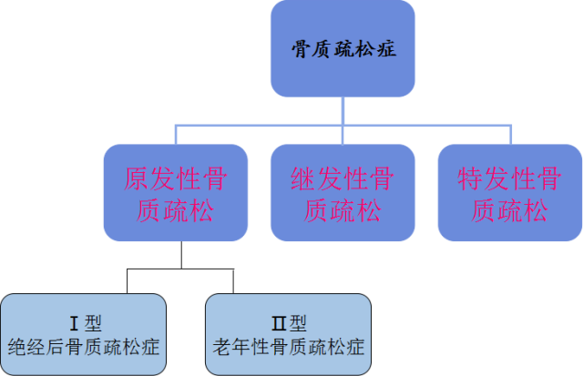 分类骨质疏松症是多种原因引起的一组骨病,骨组织有正常的钙化,钙盐与