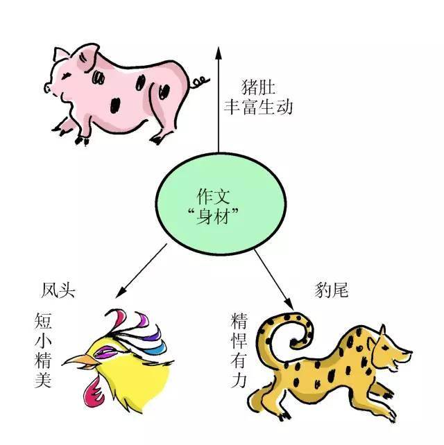 压箱底的写作技巧,瞬间拔高你的文章气质_手机搜狐网