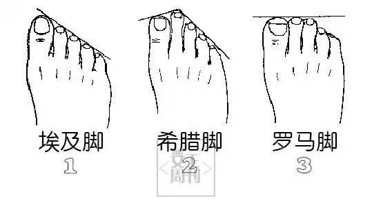 普遍分为埃及脚,希腊脚,罗马脚三型大部分亚洲人的脚型依照脚趾长度