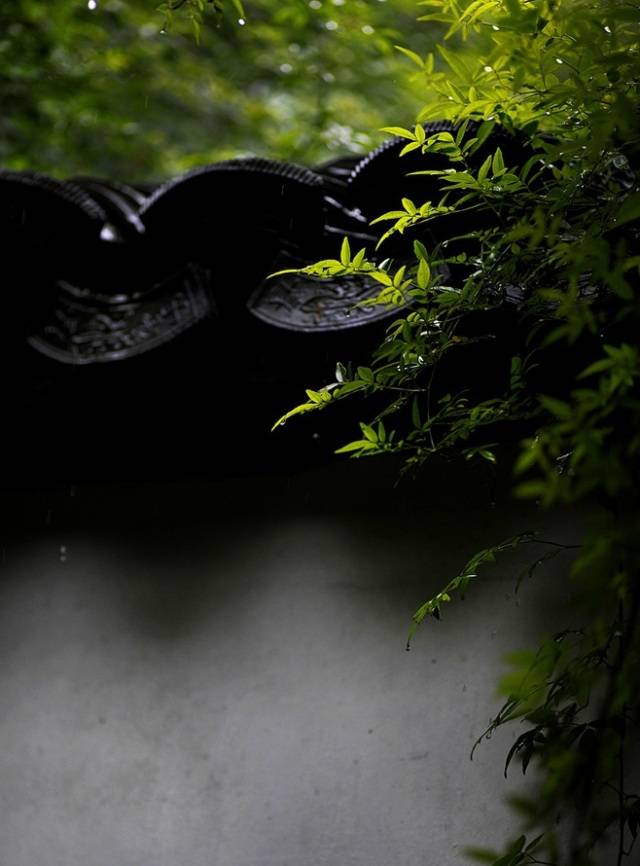 小楼一夜听春雨|品图