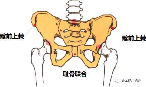 屁股不翘小肚子还突出可能是你的体态出了问题