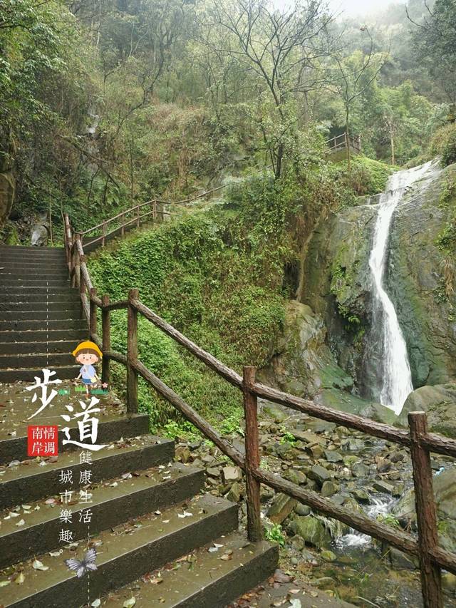 【南调】行南山清水溪步道,享三月大把春光_手机搜狐网