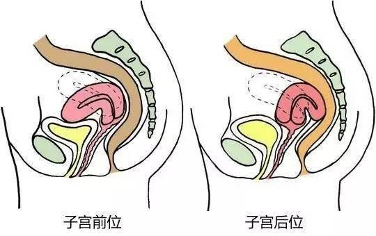 精子质量vs啪啪姿势 哪个对怀孕更有帮助