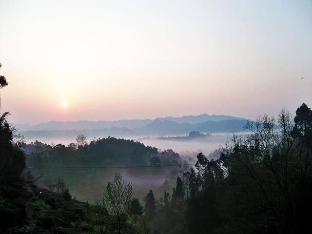 茶旅世界 名山马岭采茶