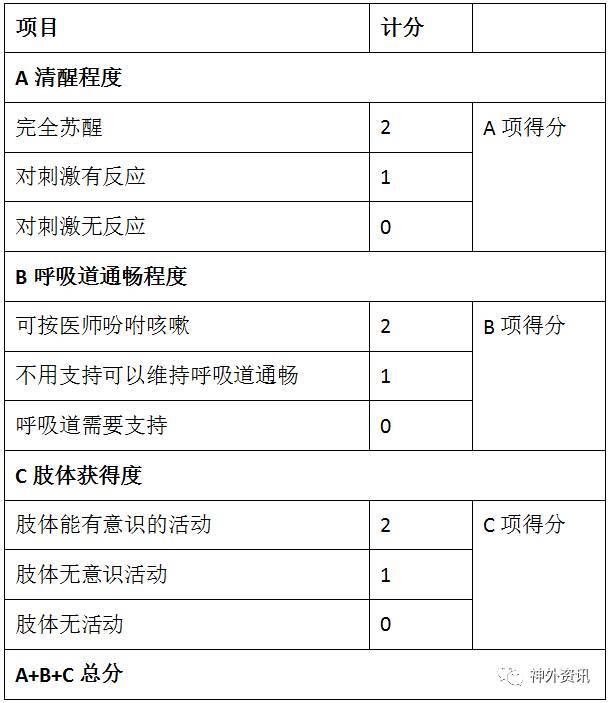 steward苏醒评分标准