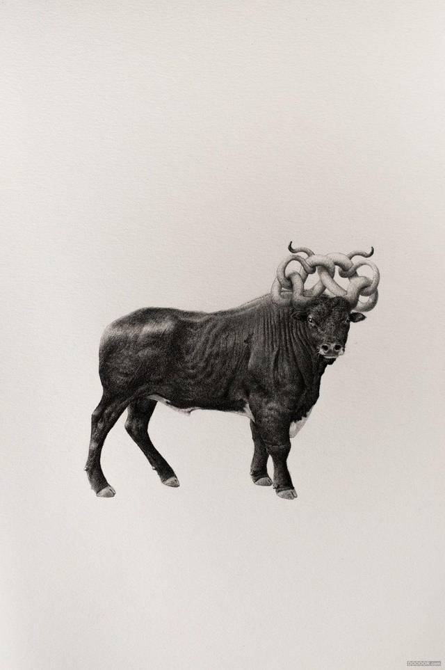 长角公牛,奇葩四不像动物组合,创意无敌黑白素描平面插画设计
