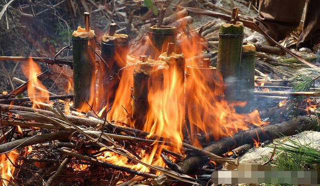 随后,只需要将塞得满满的竹筒饭架火烤大约十分钟,香气扑鼻的竹筒饭