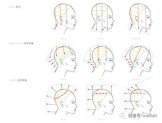 沙宣abc是什么意思_手机搜狐网