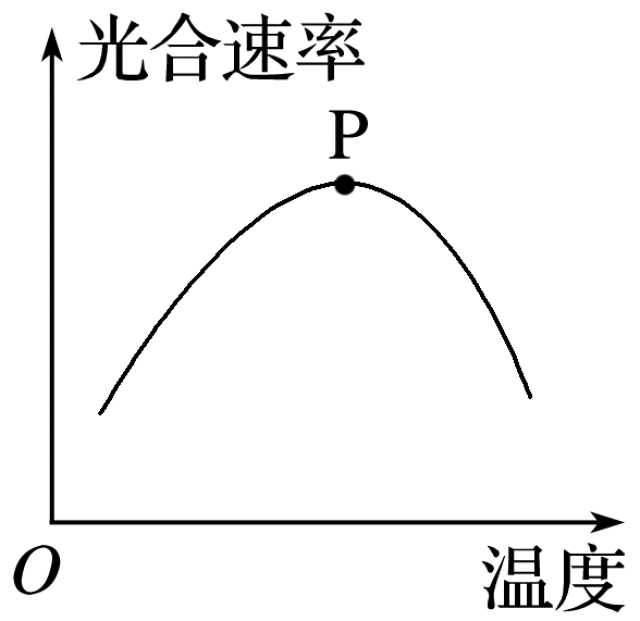 温度 通过影响酶的活性来影响光合作用 p点对应的温度为进行光合