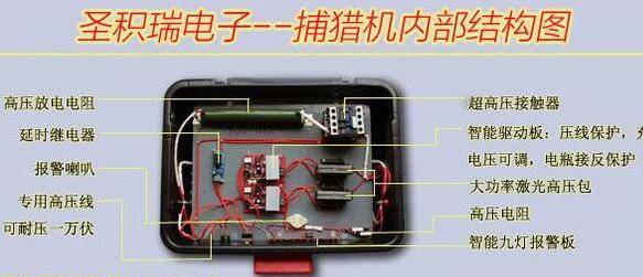 野猪习性你知道吗 圣积瑞电子捕猎机详细讲解_手机搜狐网