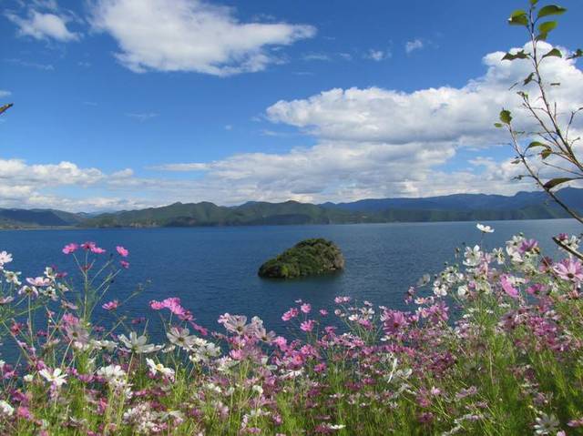 丽江 泸沽湖 香格里拉/听花开花落 看云卷云舒