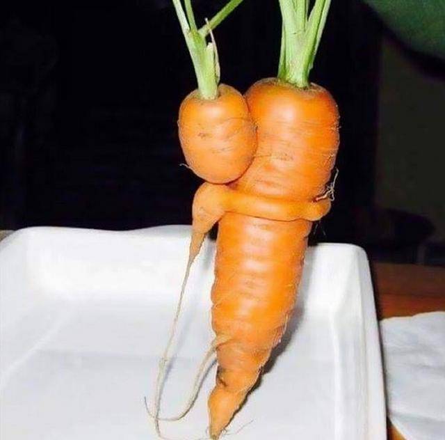长相奇葩的蔬菜,萝卜最不正经,简直要成精了!