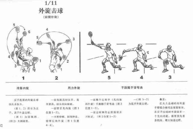 羽毛球动作全图解,建议看完再收藏!