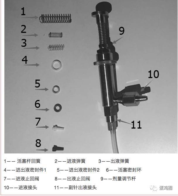 no,成鸡自动感应注射器,养鸡的好帮手