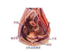 盆腔积液是如何进行诊断的