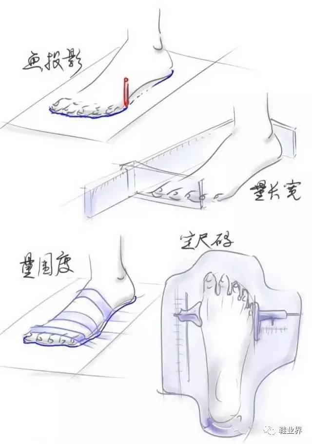 用量脚器测量跖骨位置(真实尺码)和足宽度分型.