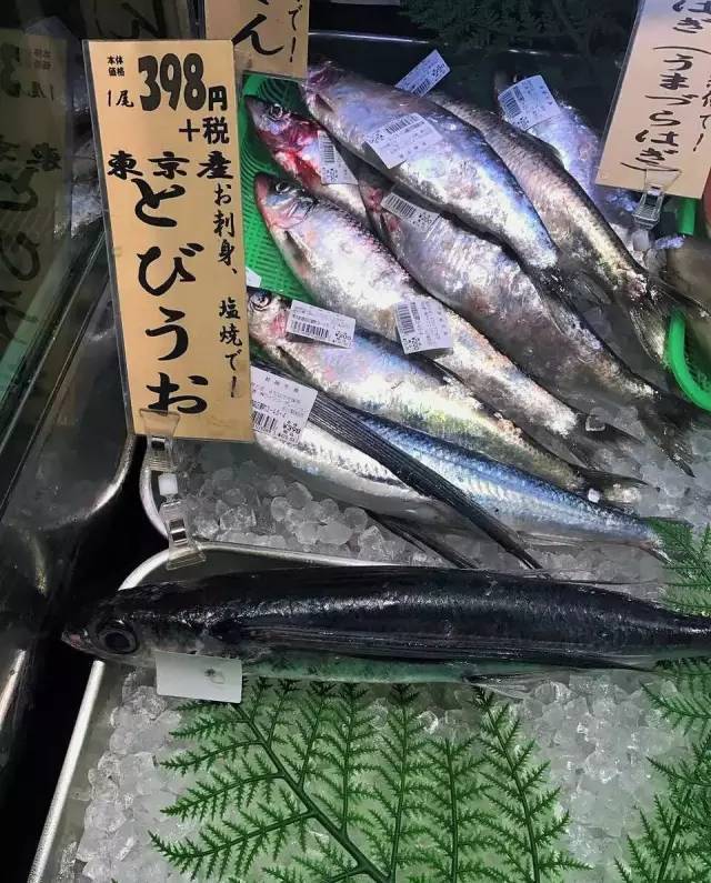 紧靠福岛的宫城县的海产品鲜海带.