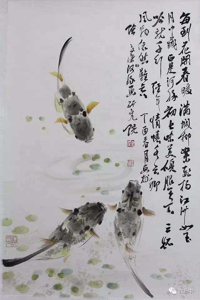 齐白石画虾,徐悲鸿画马,他独爱画扬中河豚