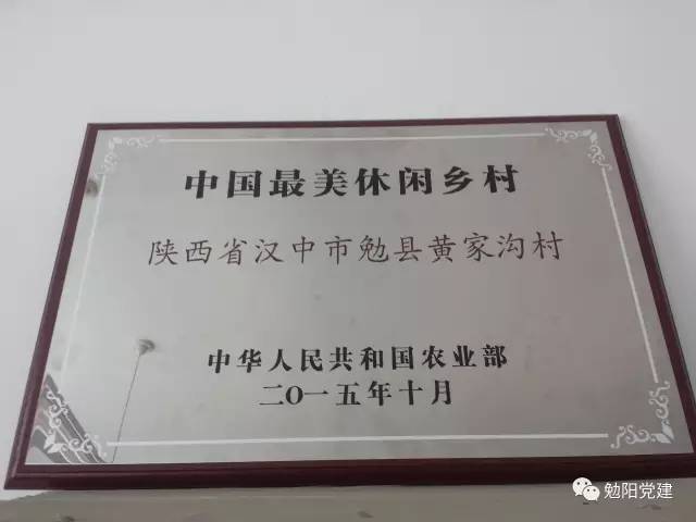 勉县勉阳街道办:党建引领乡村旅游蓬勃发展