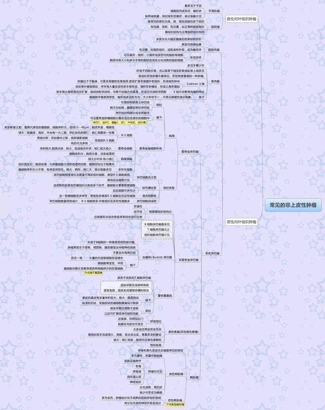 医学思维导图全套完整打印版(病理学)