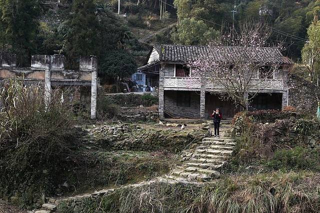 永嘉行走:仙客村