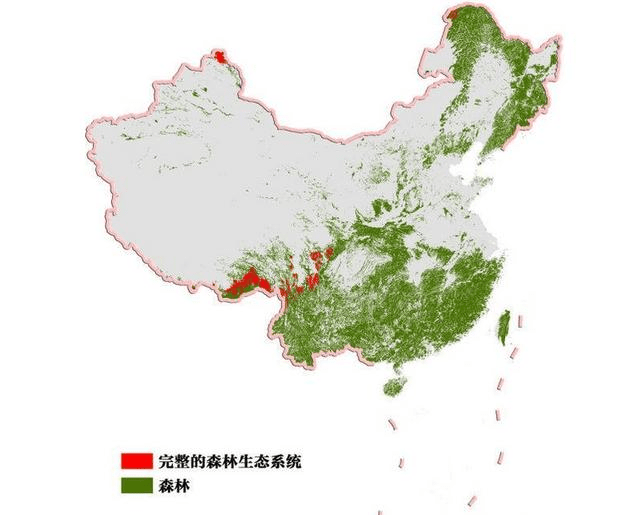 我国森林覆盖率最高的五个省份 有你家乡吗_手机搜狐网