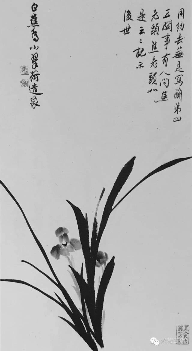 云间白蕉写兰花(附课徒稿)