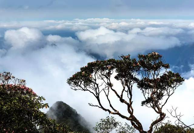 壮乡" 三月三"相约在合山一日游旅游线路