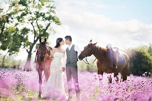 婚纱花海_林心如花海婚纱照片(3)