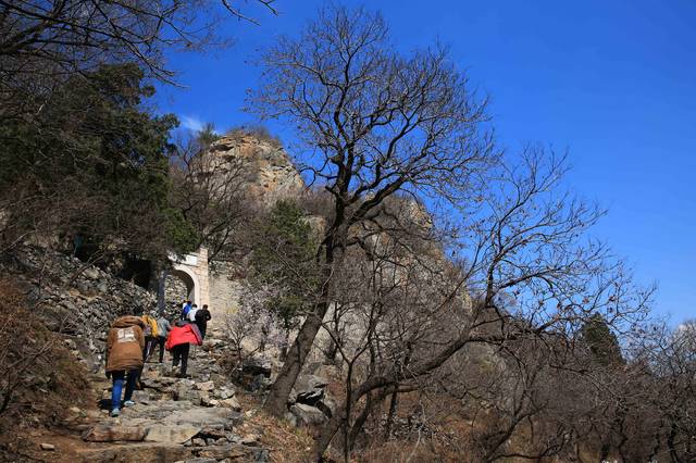 【最美春天】鹫峰国家森林公园看漫山遍野桃花