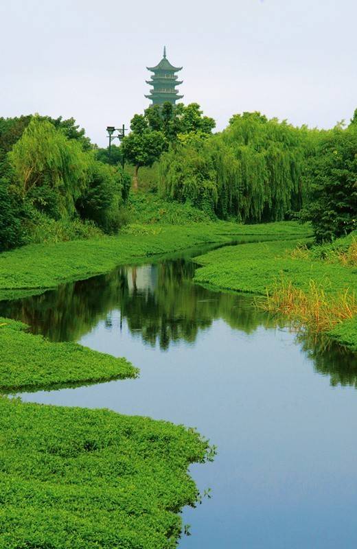 最不可辜负的乌镇湿地美景