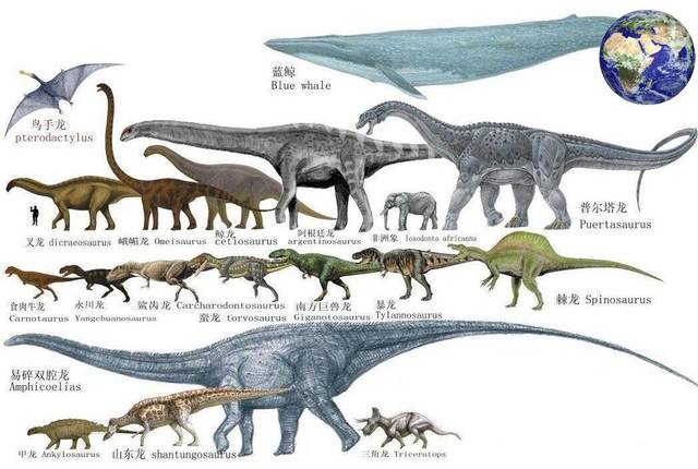 恐龙作为地球上曾经存在过的体型最大的生物,它们的一举一动可能都对