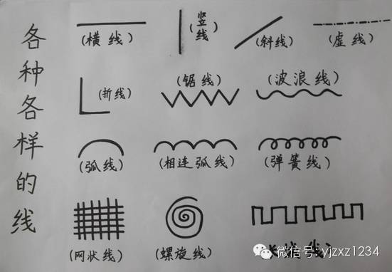 幼儿园线描画的教学步骤