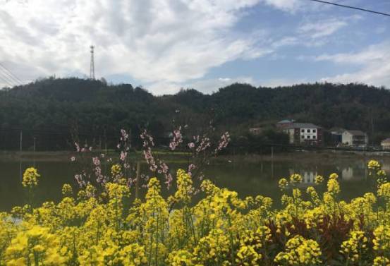 春风沉醉的日子,踏上广德卢村乡发现之旅(一)