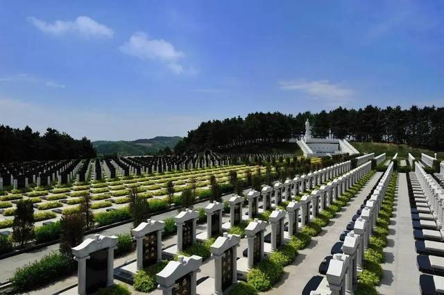 公益性公墓的墓位价格实行政府定价,必须经物价部门批准后方可收费