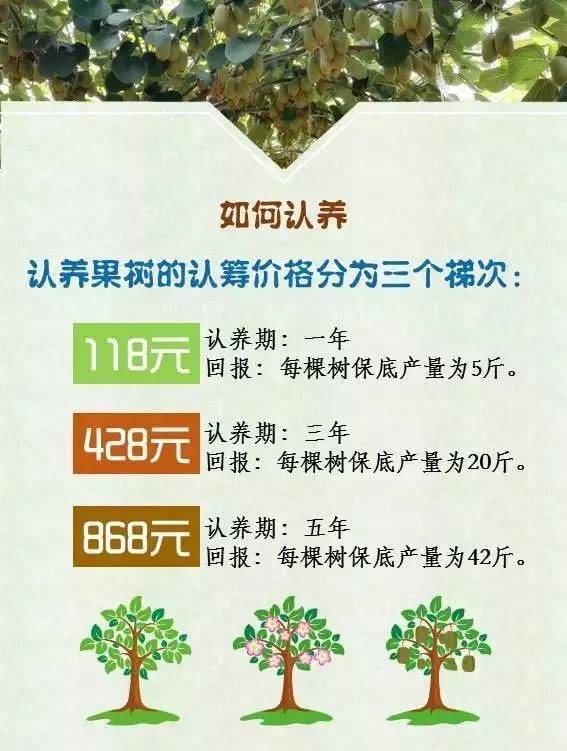 便可认养一棵属于自己的果树,享受自耕自采的乐趣,满足感和高品质的