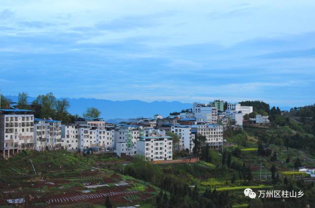 柱山乡