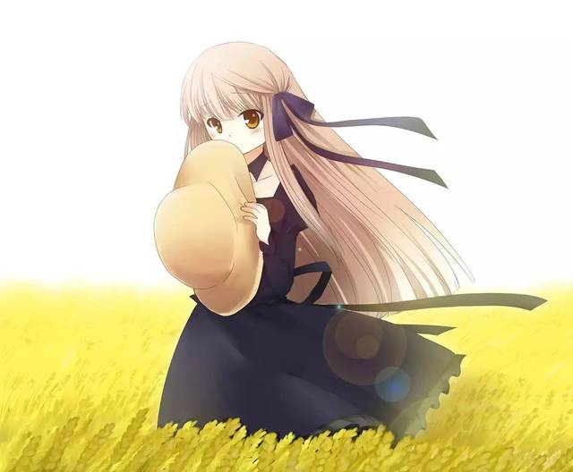 壁纸| rewrite@497期