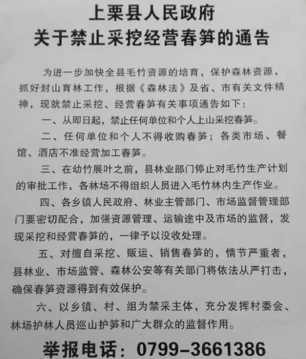 【上栗】 政府颁布禁止采挖经营春笋的通告了