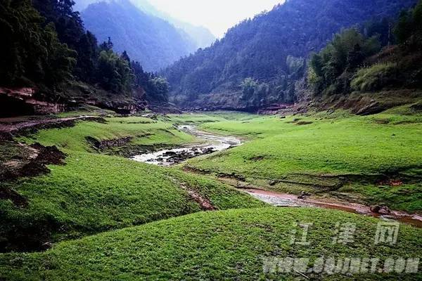 柏林镇地处江津南部边陲,全镇山林地面积达16万亩,林木蓄积45万