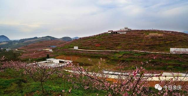 余庆龙溪:还你一片十里桃花