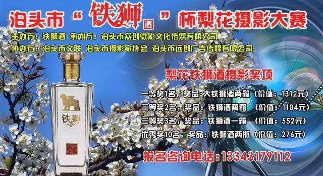 泊头铁狮酒杯梨花摄影大赛报名开始千元大奖等你拿