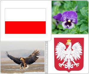 波兰的国旗,国徽,与国花三色堇 波兰国歌 波兰不会灭亡 气势澎湃真的