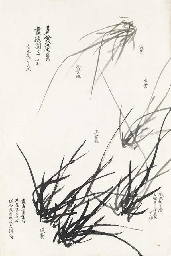 卢坤峰:《芥子园画谱》只是具体介绍画法,关于兰花的历史地位,历史