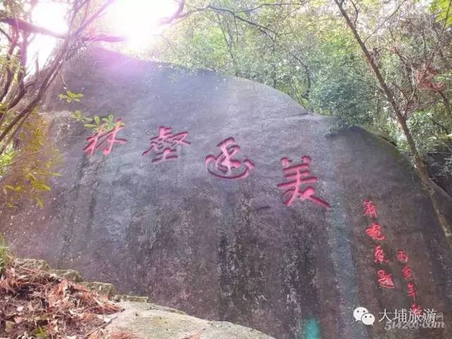 双髻山因山顶双峰耸立,形似古代妇女发髻而得名,为省级森林公园,水泥