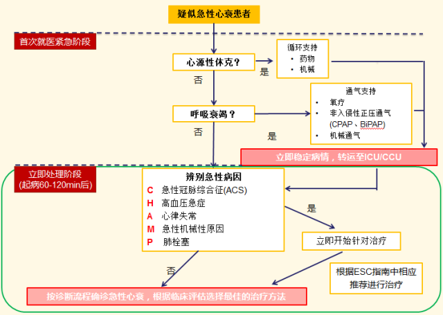 2016 esc指南急性心衰患者初始管理