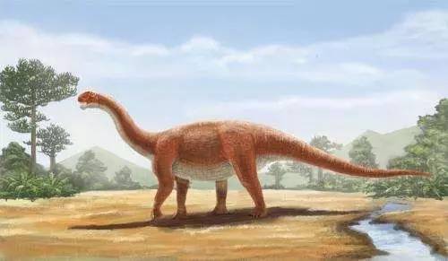 seismosaurus)意为" 使大地震动的蜥蜴",是较大的植食性恐龙之一,生存