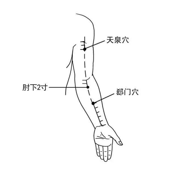 肘下二寸 在前臂正中线,肘关节横纹下三指宽处.