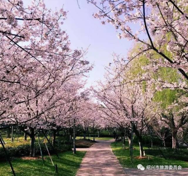 10元/人 地址:绍兴市越城区昌锋村会稽山旅游度假区中部偏南 瓜 渚 湖