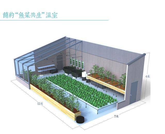 设计建造一个小型的"鱼菜共生"温室农场